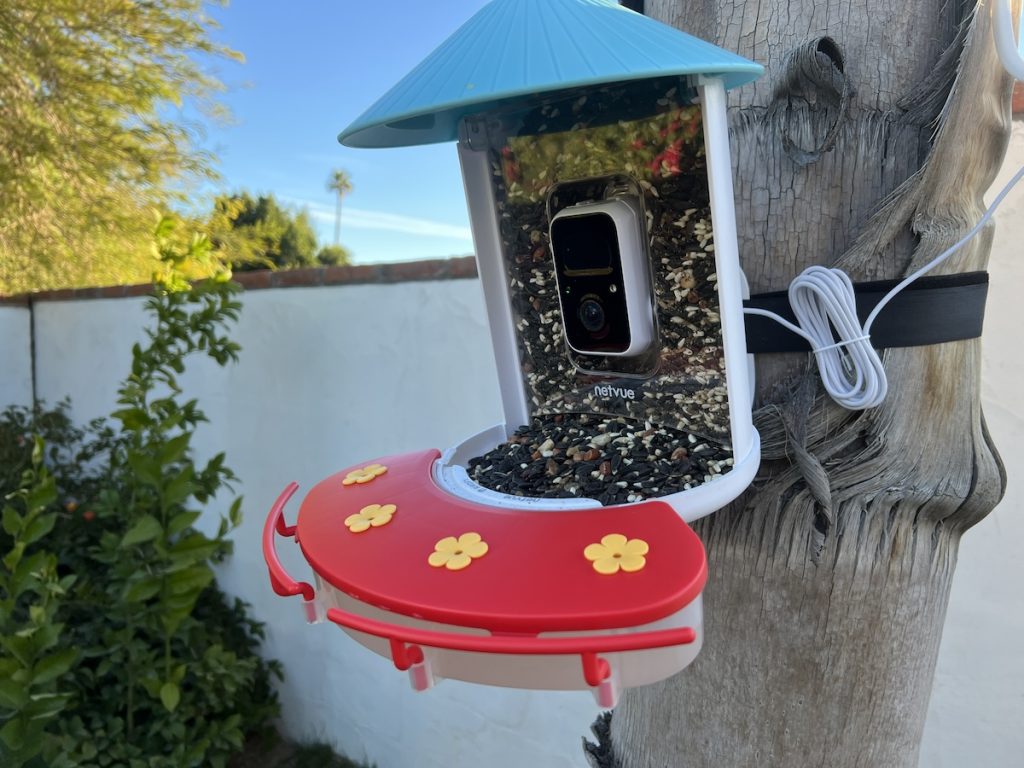 Birdfy smart bird feeder.