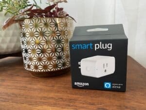 amazon smart plug, sitting on a table with a plant.