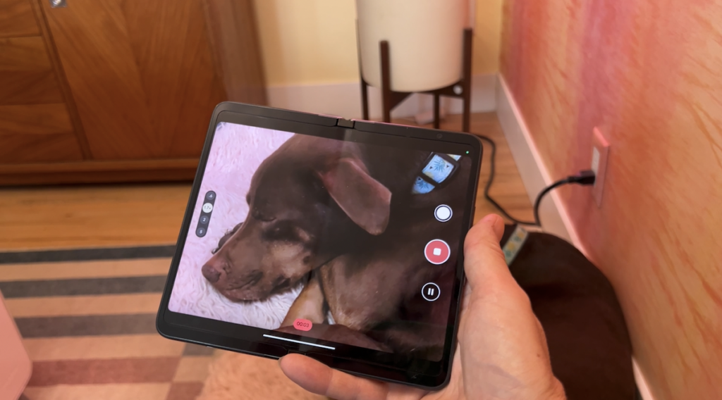 Google pixel fold taking photo of really cute dog.