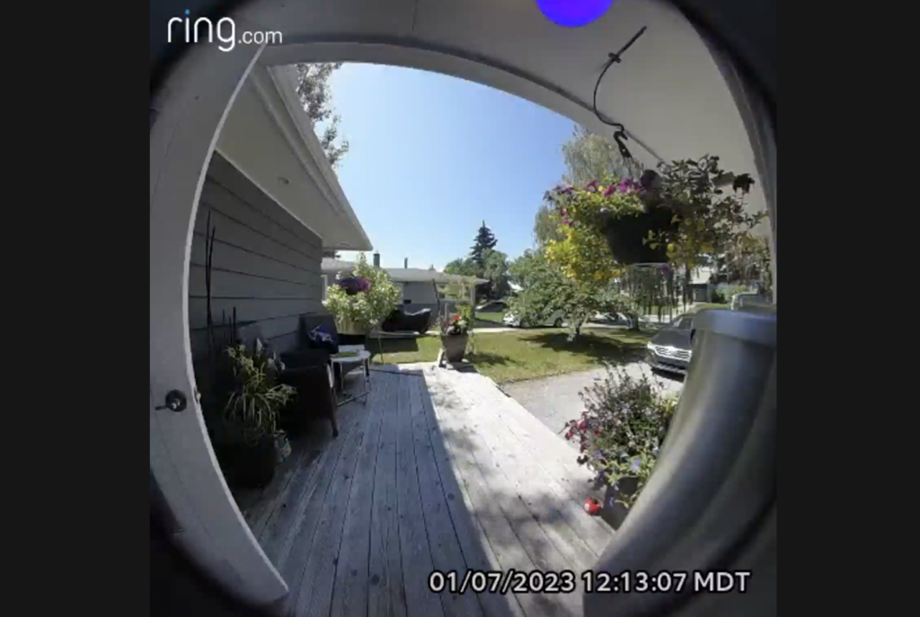 ring battery doorbell plus camera view