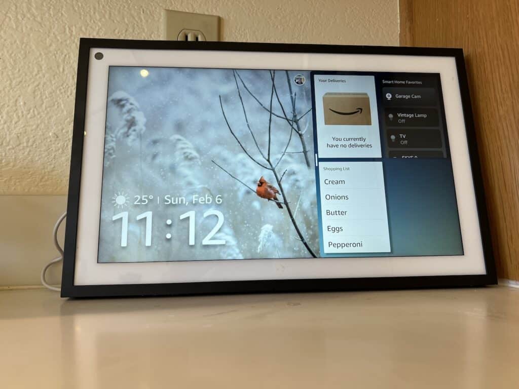 Amazon echo show 15, review