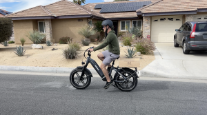 Himiway Bike Big Dog review